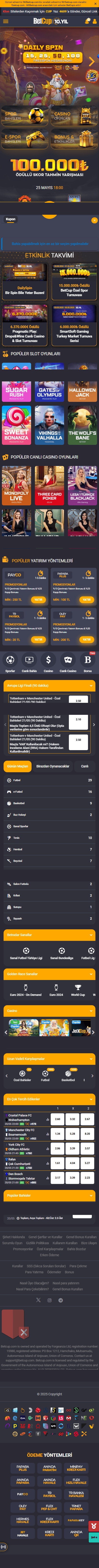 Mobil Görsel